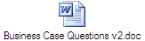 Business Case Questions v2.doc